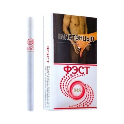 Фэст MS